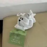 ココナの画像