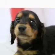 ユウキ