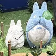 あいの画像