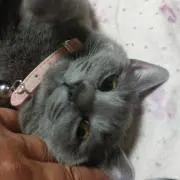 たーぼ