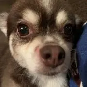 ふちの画像