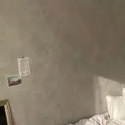 aoの画像