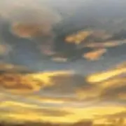 AAA