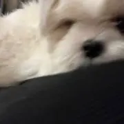 なむる