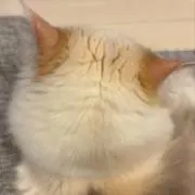 ちるえ