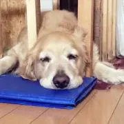 める