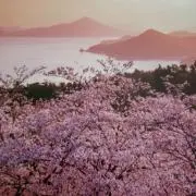 ピアジオ