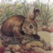 うさぎ