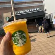 やっこの画像