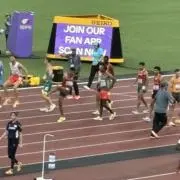 ベンダースの画像