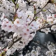 ktmmmm58の画像