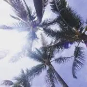 ⭐︎P⭐︎同梱お値引き対応します⭐︎の画像
