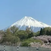ぽんぽんの画像