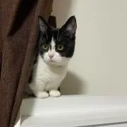 じゅんな