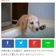 ヒヒチャイムの画像