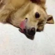 田中 プロフ読んで(*^_^*)