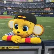 チーズ