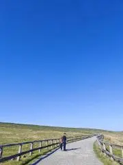 Rururunの画像