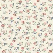 kokoの画像