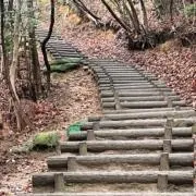 クレアチンズの画像