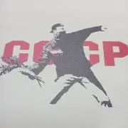 ケミの画像