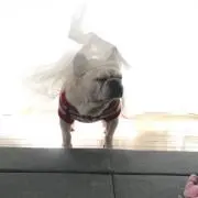コンビニの画像