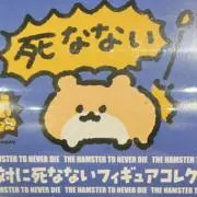 ののの画像