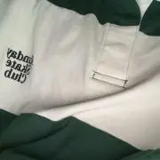 飛べないペガサス