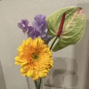 まつの画像