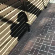 ごろすぺの画像