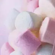 510の画像