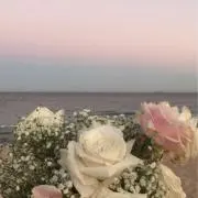 yの画像