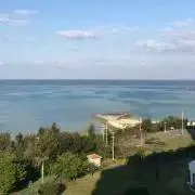 関の画像