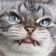 プロフィール必読。まるの画像