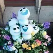 ごぼうのすけの画像