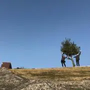 あおの画像