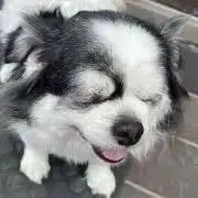 うーたろの画像