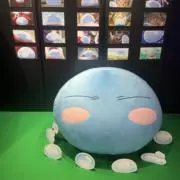 まいの画像