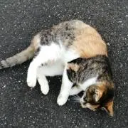 断捨離中