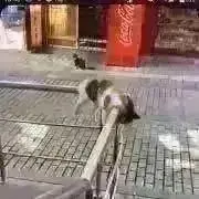 凛 プロフ必読です︎︎︎︎☺︎の画像