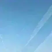 とまみの画像