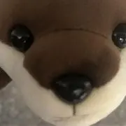 みゅうの画像