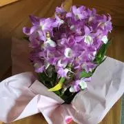 あかりの画像