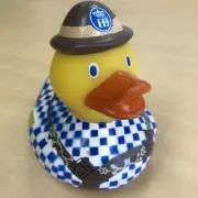 ogiの画像