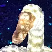 クロビの画像