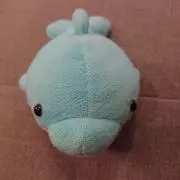 ボブッチの画像