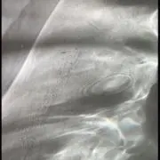 Yuの画像