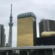 norの画像