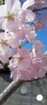 さとの画像