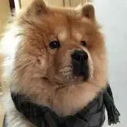 みなつむの画像